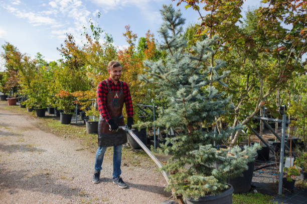 Attica, MI Tree Removal Company